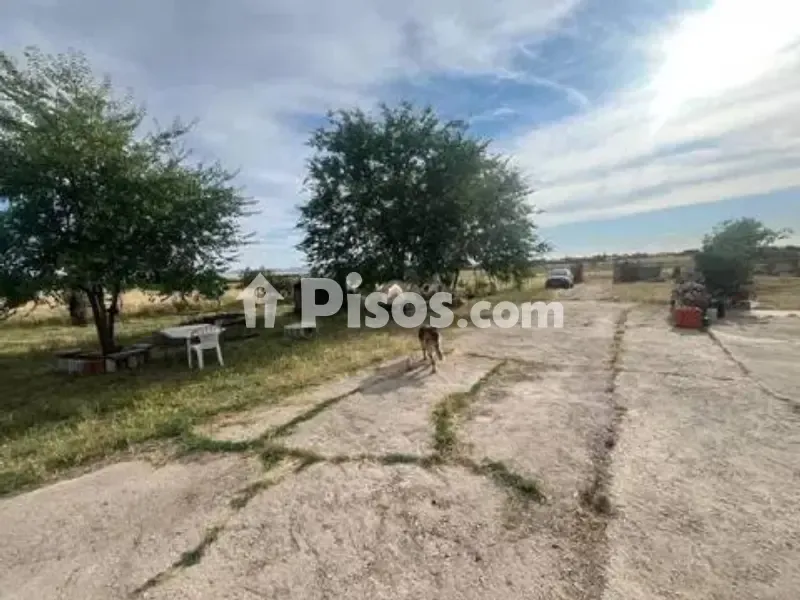 Jardin - Rustic House with Large Garden in Sur