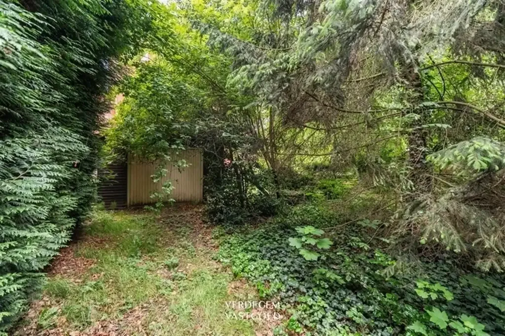 Jardin - Terrain pour Construction Centrale à Zelzate