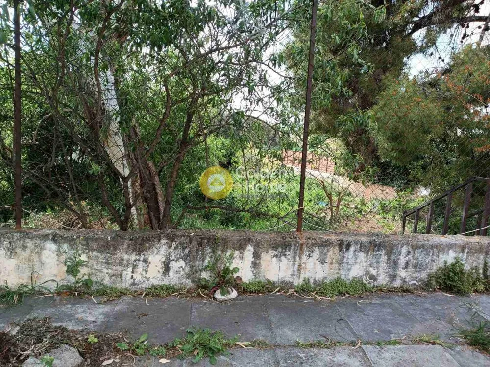 Aed - Plot with Forest View in Melissia