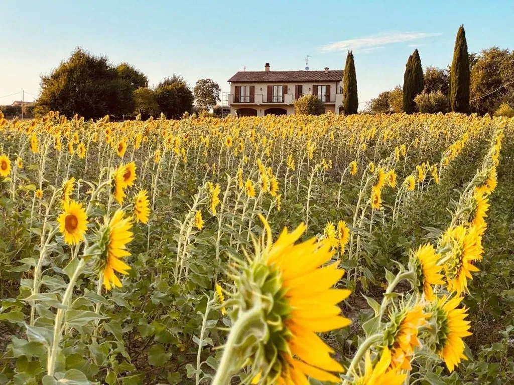 Välivaade - Historic Umbrian Farmhouse with Panoramic Views in Montecastrilli