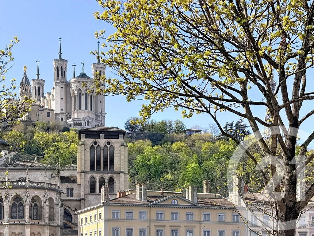 Appartement Rénové par Architecte avec Jardin à Lyon 2e