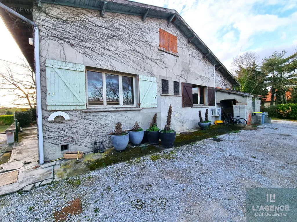 Jardin - Maison à Pechabou avec Terrasse Sud et Jardin