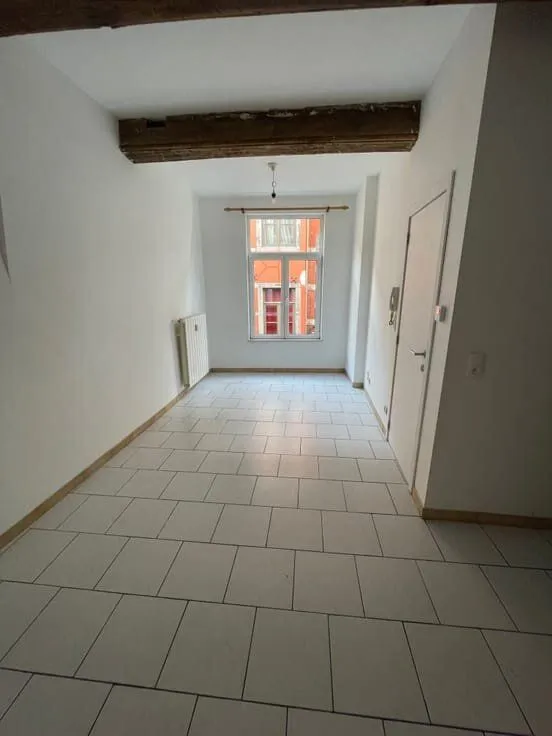 Toad - Renovated Flat with Lift in Namur Centre