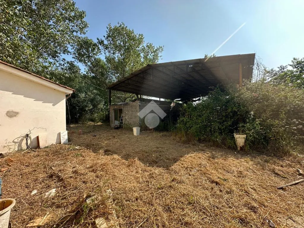Jardin - Single-Storey Villa with Garden in Capannori