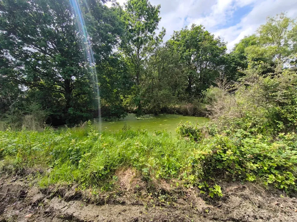 Aed - Renovated Cottage with Pond in Vritz