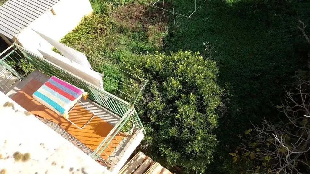 Jardin - Bifamily Villa with Garden in Carini