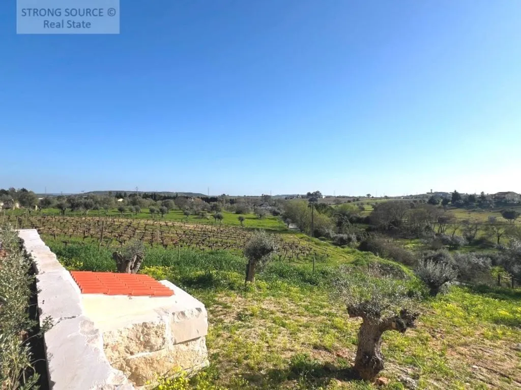 Jardin - Luxury Farmhouse with Pool in Ribatejo