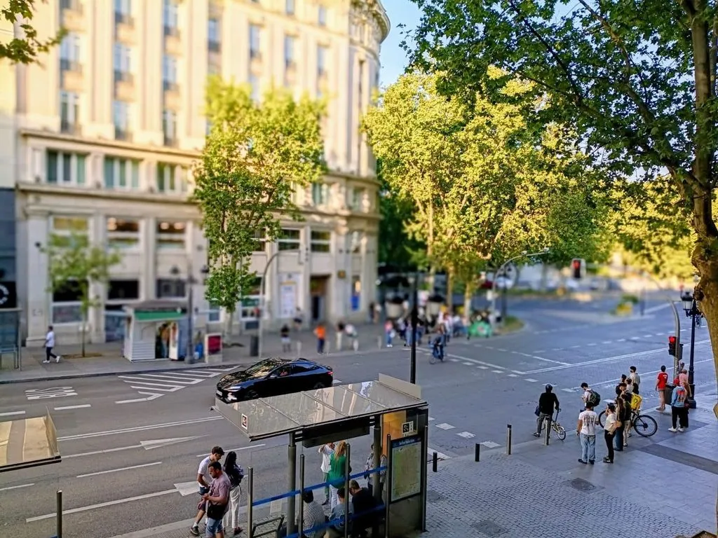 Luxury Flat with Balcony in Madrid