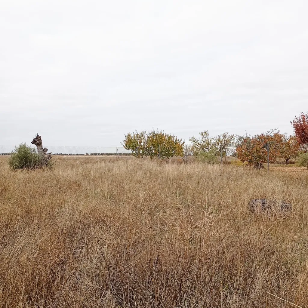 Jardin - Rustic Plot in Tranquil Yepes, Toledo