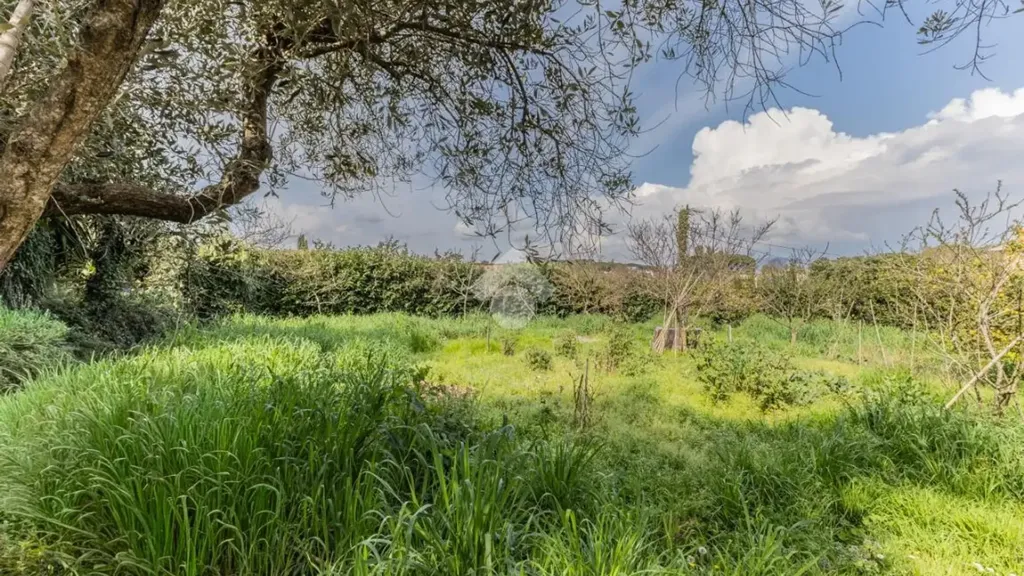 Jardin - Studio with Private Garden in Bracciano
