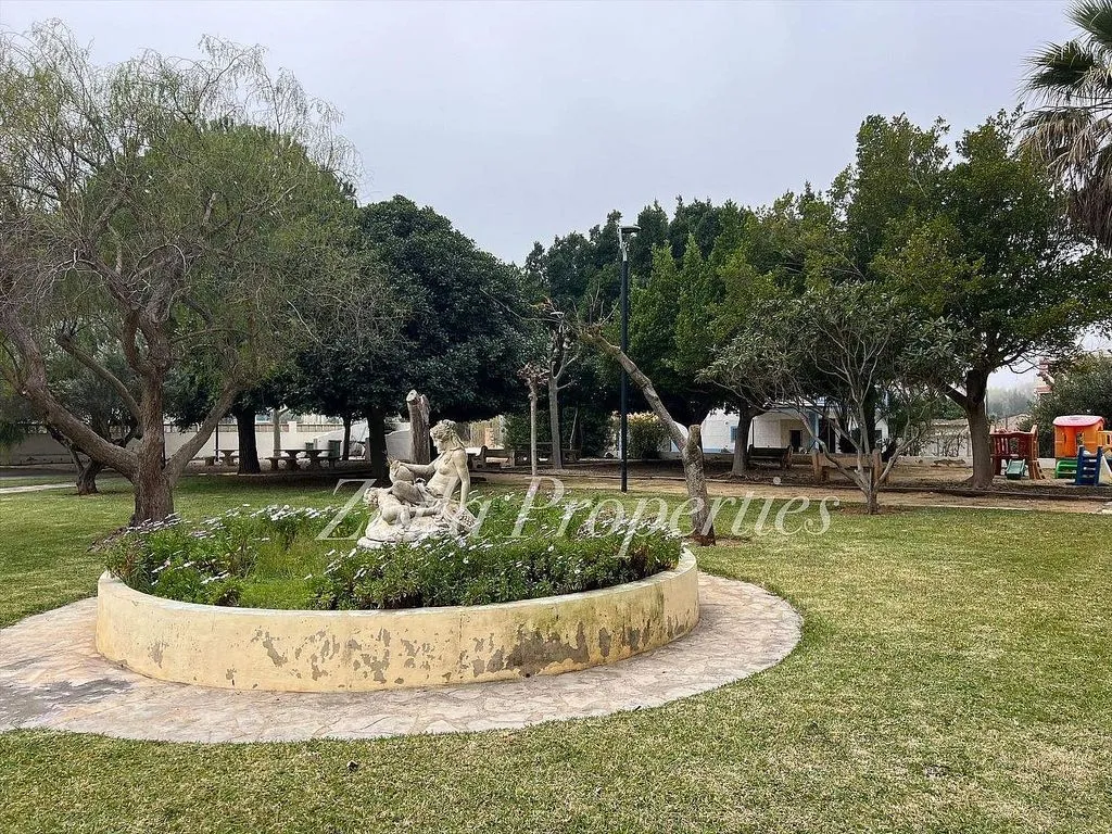 garden