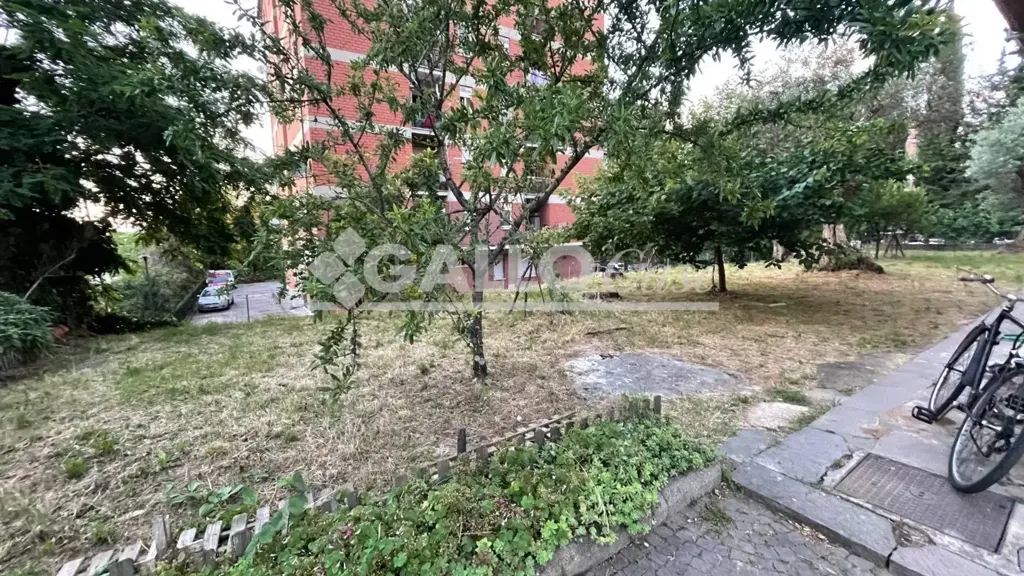 Garden - Apartment with Balcony in Rende