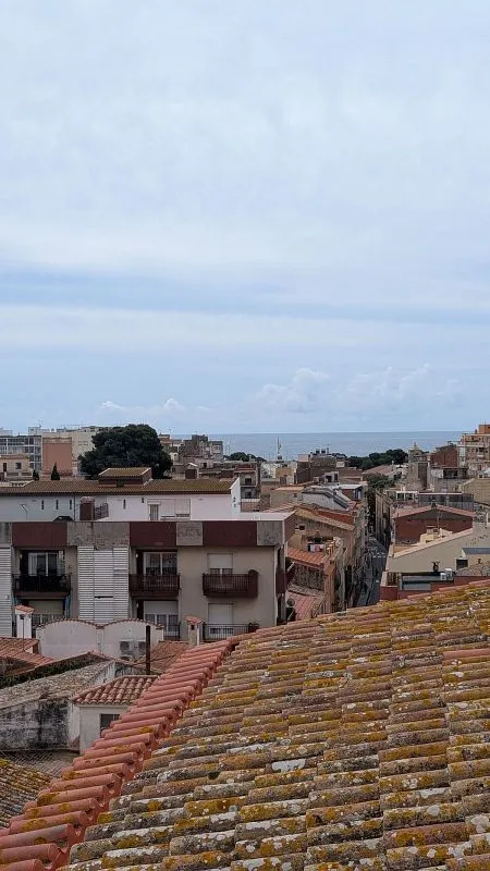 Välivaade - Apartment with Terrace in L'Eixample