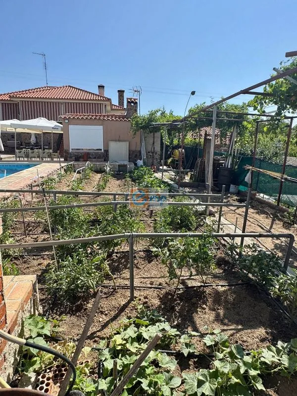 Piscine - Chalet with Pool and Terraces in Palomeque