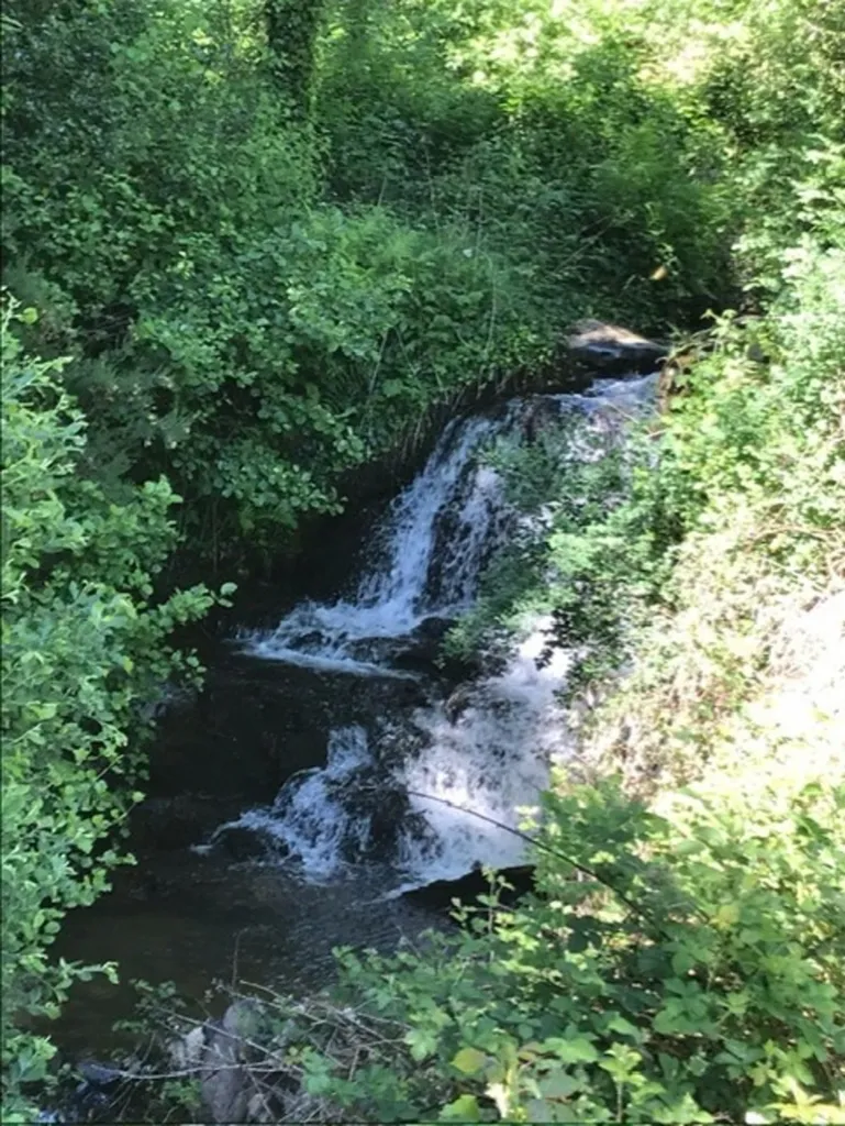 Moulin Auvergnat avec Piscine près d'Aurillac