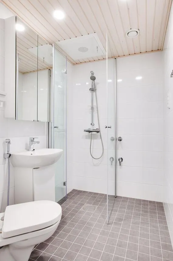 Bathrooms - Compact One-Bedroom Flat with Balcony in Hämeenlinna