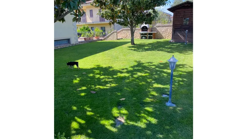 Jardin - Rustic Villa with Garden in Lattarico