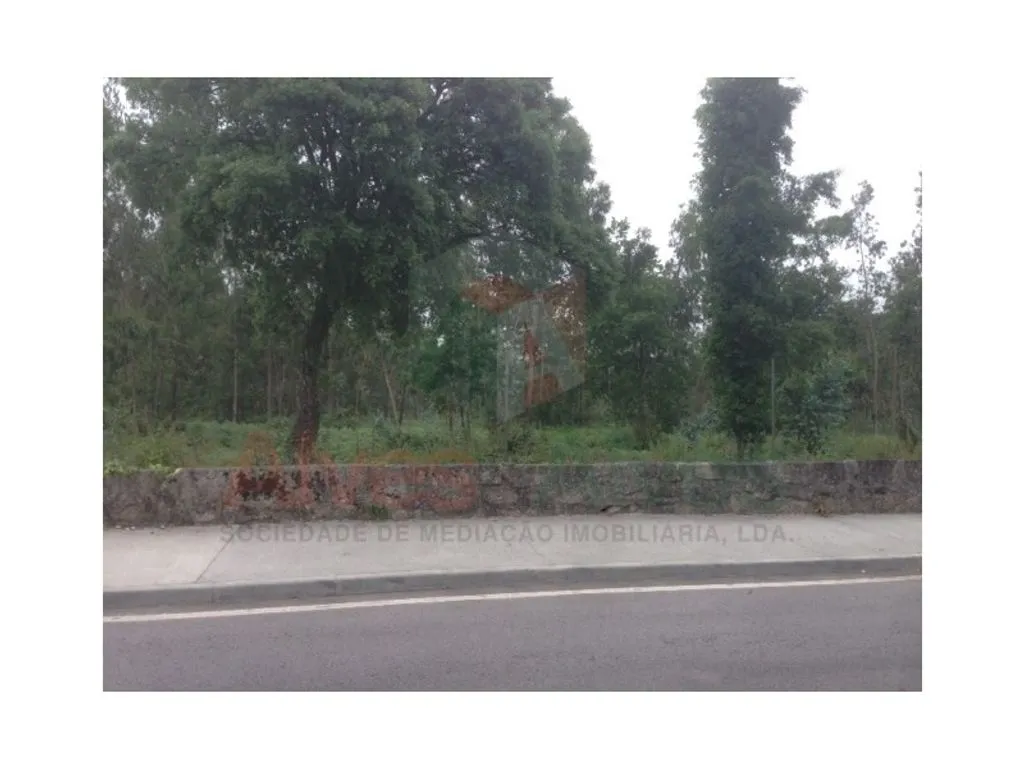 Jardin - Building Land in Residential Area, Maia