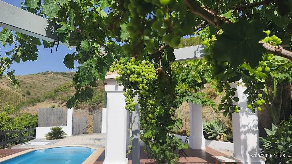 Piscine - Country House with Pool in Benagalbón