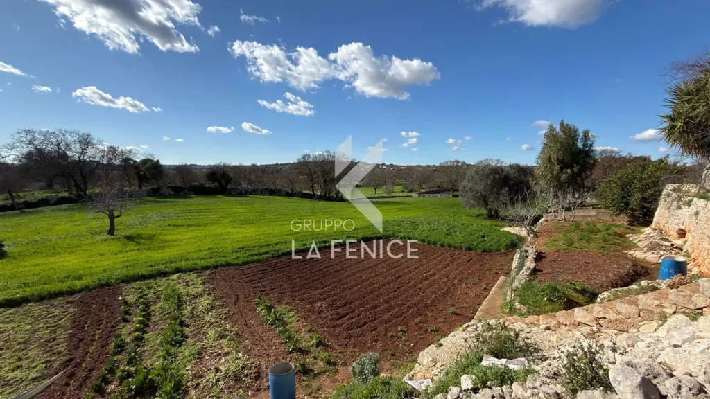 Jardin - Villa with Trulli in Ceglie Messapica