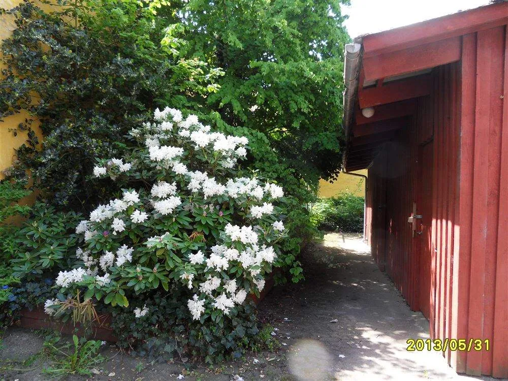 Aed - 3-Bedroom Flat in Central Hobro