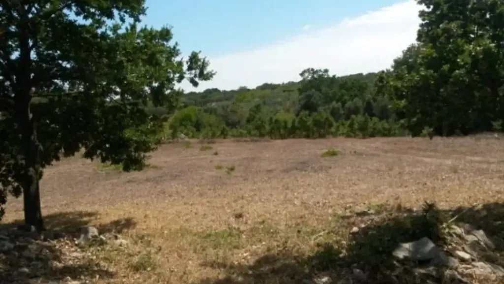 Aed - Traditional Trullo with Olive Grove in Ostuni