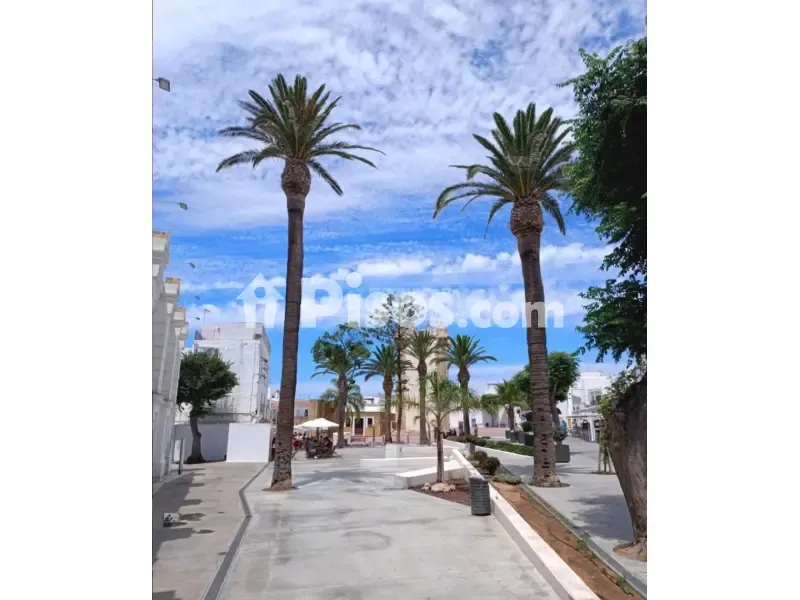 Reformed Apartment with Patio in Conil