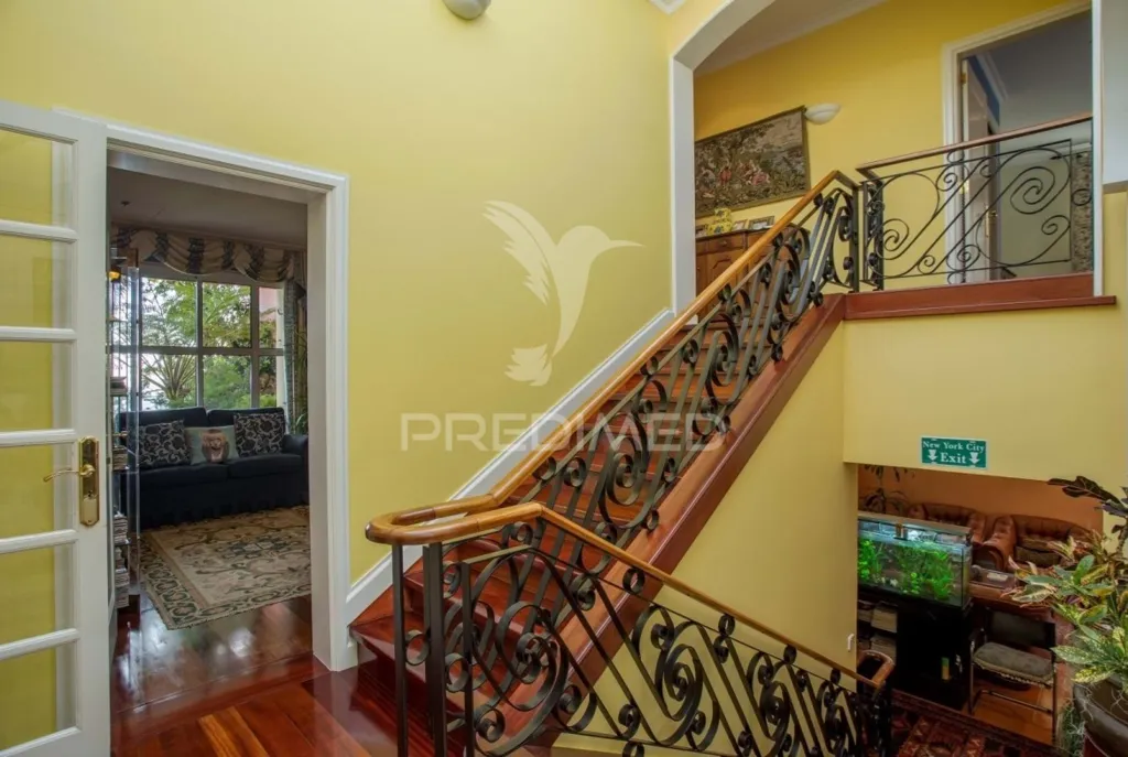 Toad - Luxury Villa with City View in Funchal