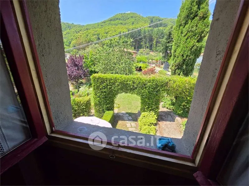 Jardin - Restored Rustico with Garden in Camporgiano