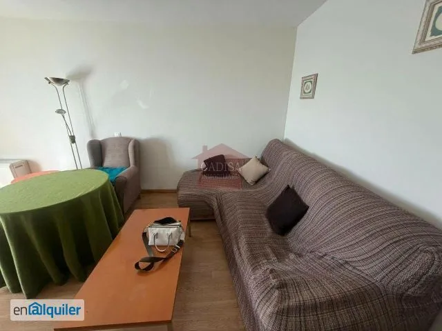 Séjour - Furnished Flat with Garage in Terradillos