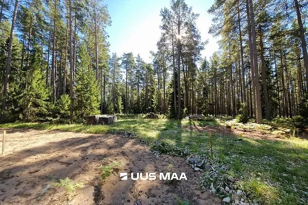 Jardin - Plot with Surf Paradise in Hiiumaa