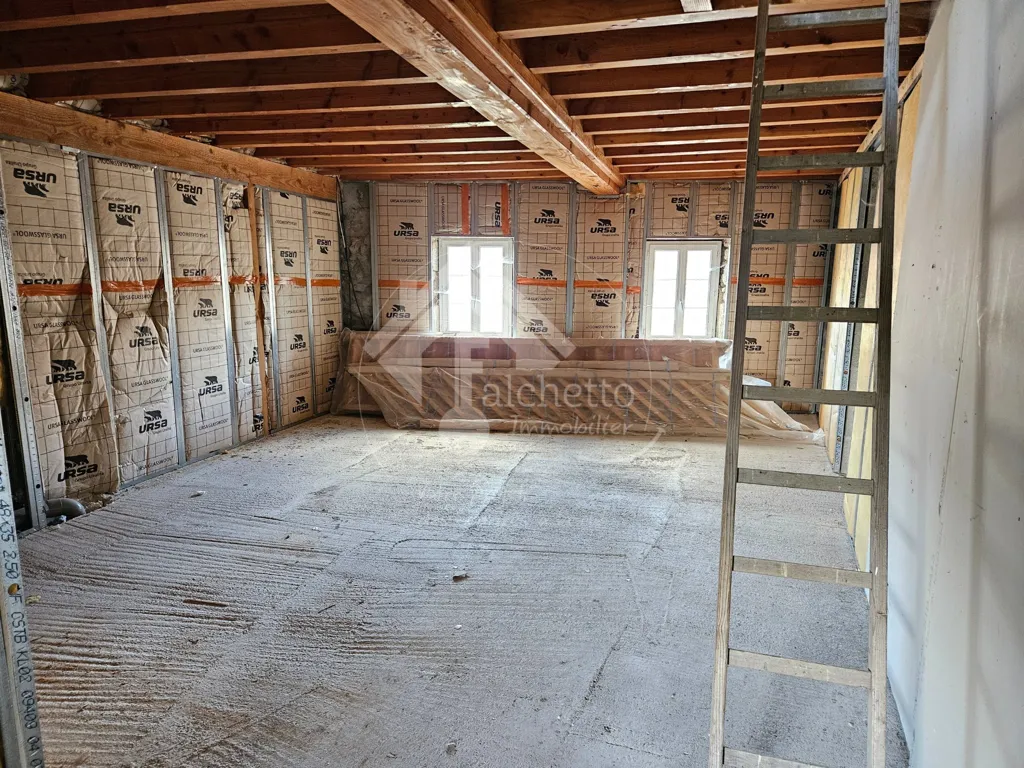 Toad - Commercial Property with Development Potential in St Nicolas des Biefs