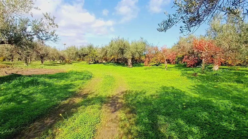 Aed - Rustic Casale with Garden in Sciacca