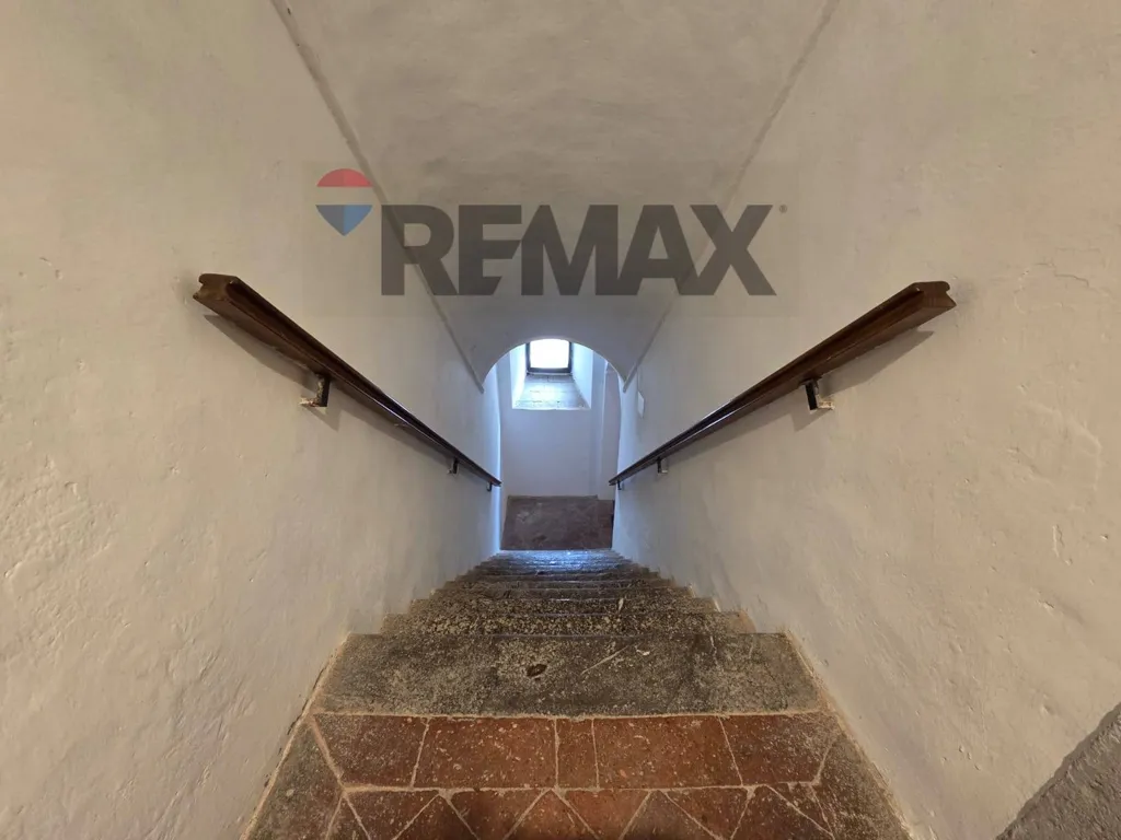 Toad - Tuscan-Style Apartment in Monteverdi Marittimo