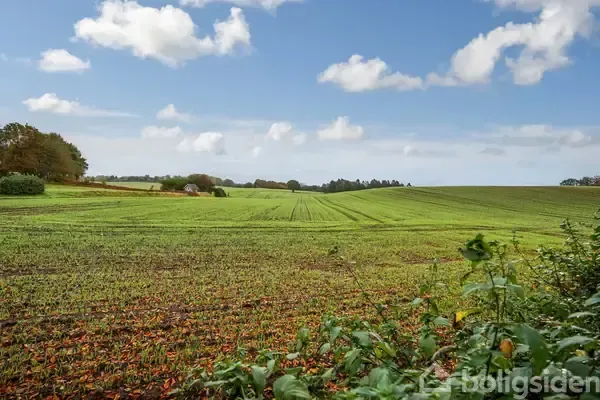 land_plot