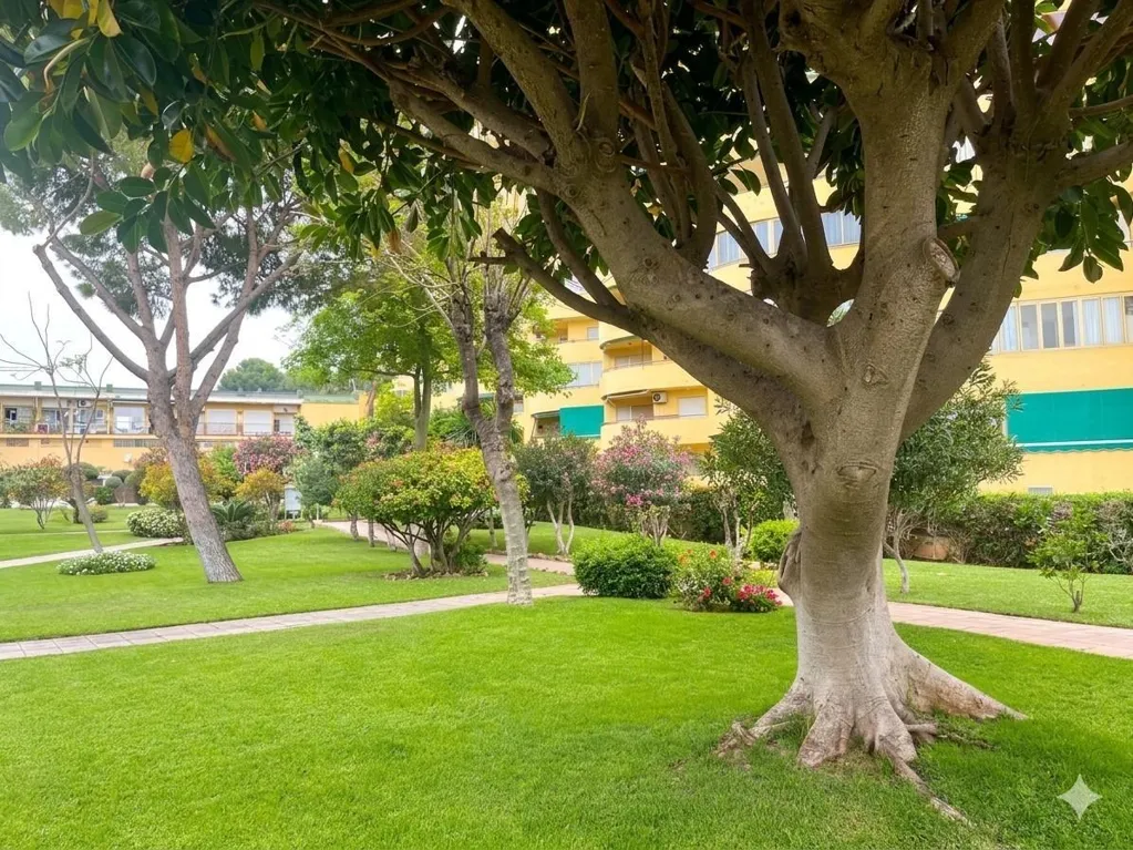 Jardin - Flat with Terrace in La Carihuela, Torremolinos
