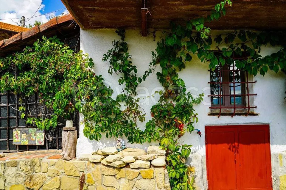 Välivaade - Restored Rustic Homes with Garden in Cortemilia