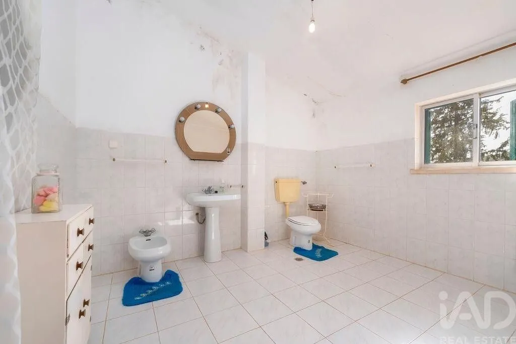 Vannitoad - Luxury House with Tourism Potential in Alte