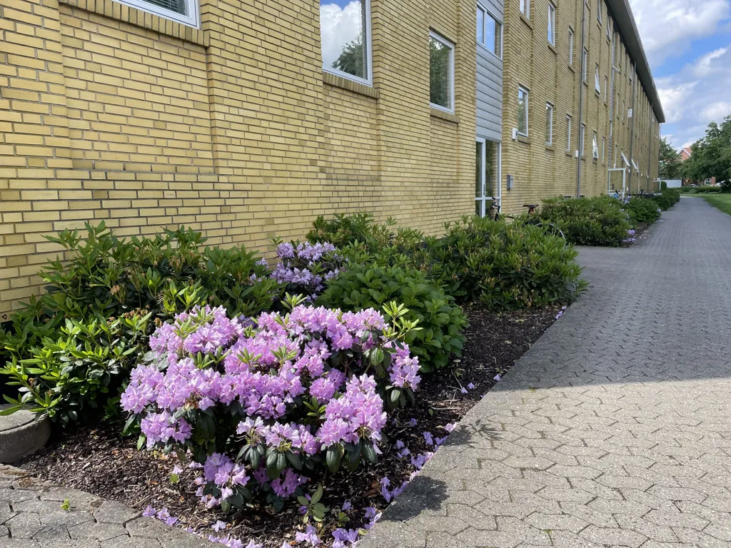 2-toaline korter asukohas Viborg