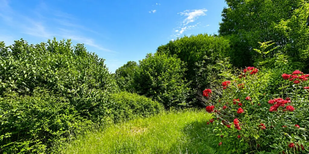 Jardin - Maison à rénover avec terrasse à Visé