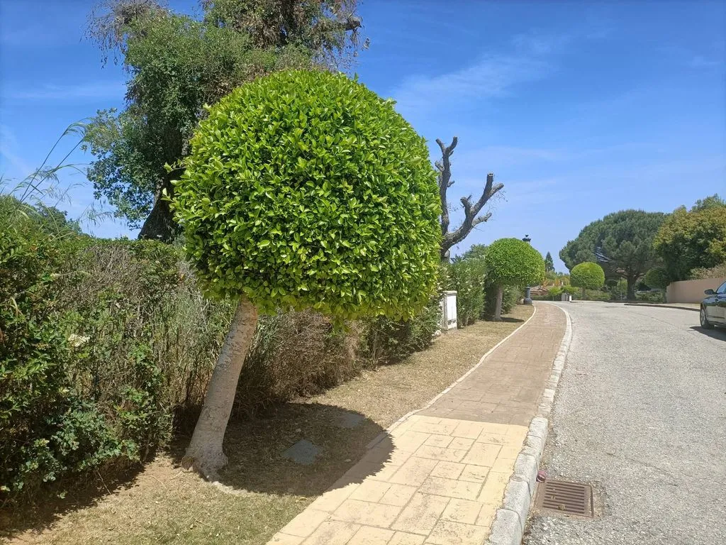 Luxury Villa with Pool in San Roque