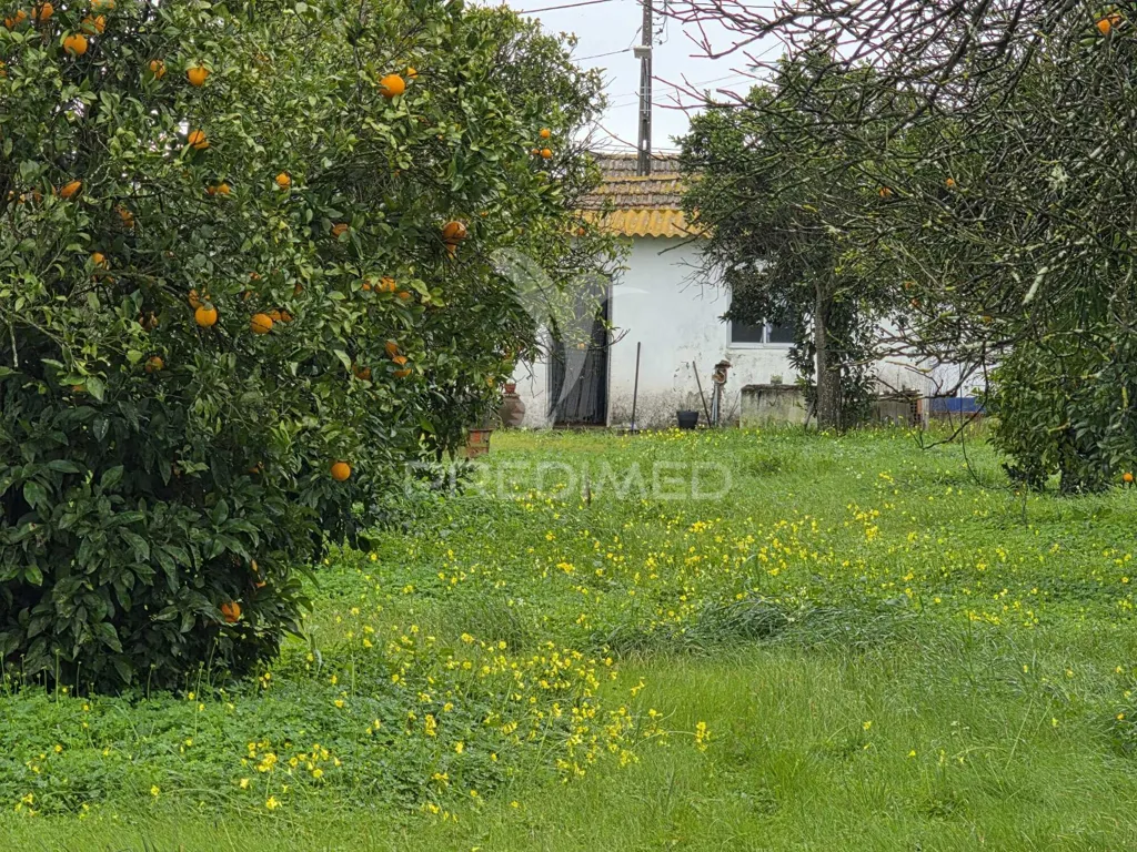 Jardin - Detached House with Fruit Trees in Água Derramada