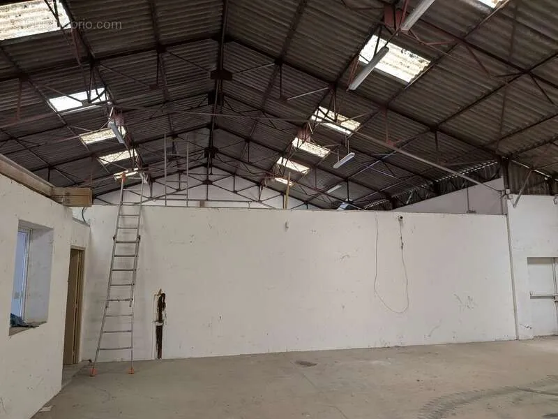 Toad - Warehouse with Offices in Flassian Industrial Zone