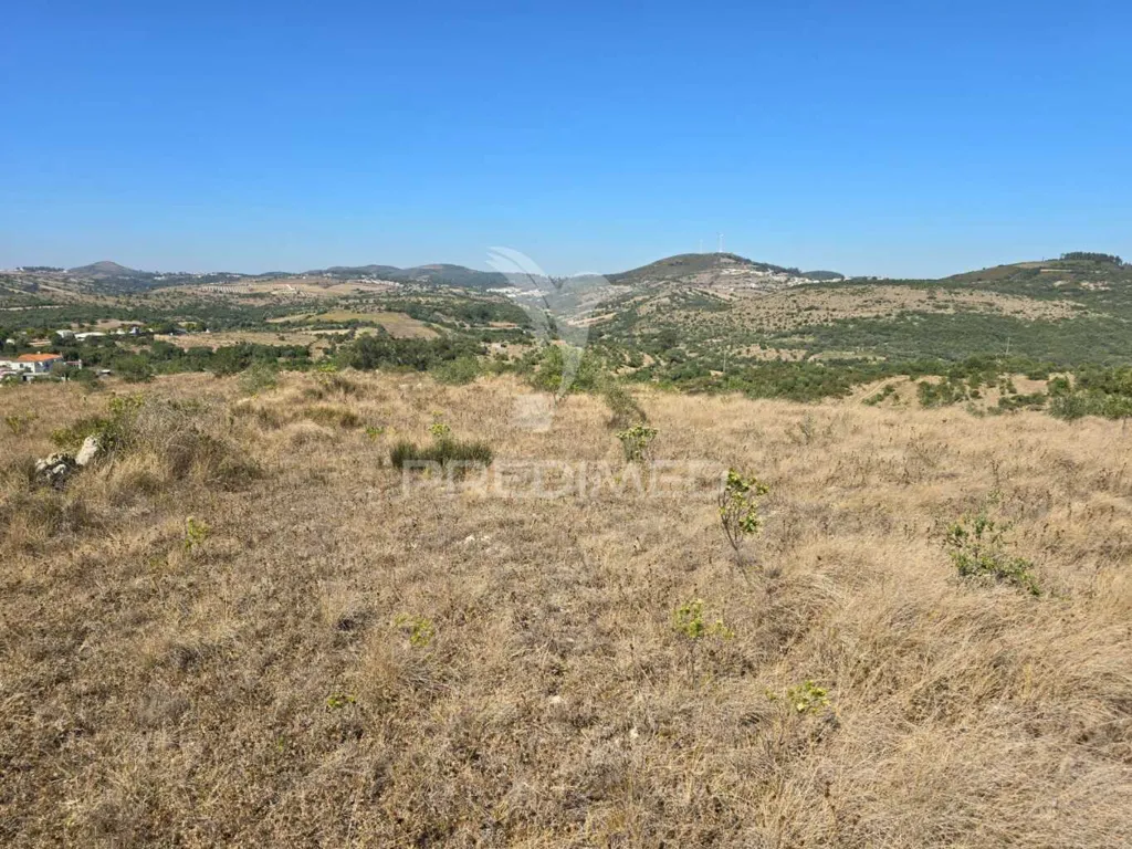 Jardin - Rustic Land with Approved Project in Mafra
