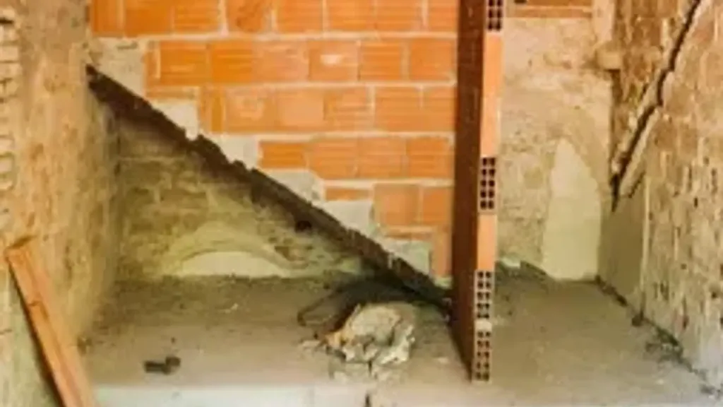 Toad - Charming Trilocale in Historic Certaldo