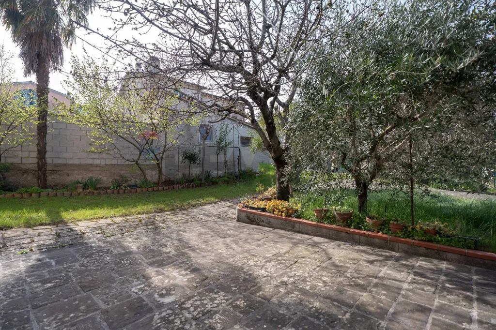 Jardin - Cielo-Terra House with Garden in Cupramontana