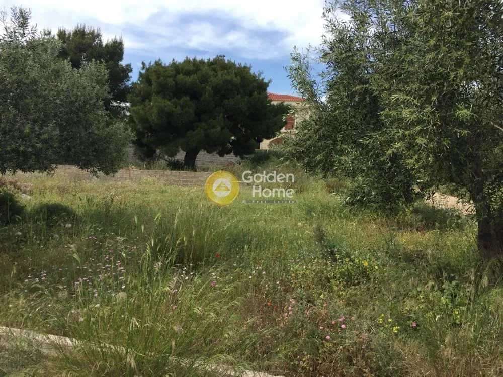 Aed - Plot for Development with Sea View in Athens Western Suburbs