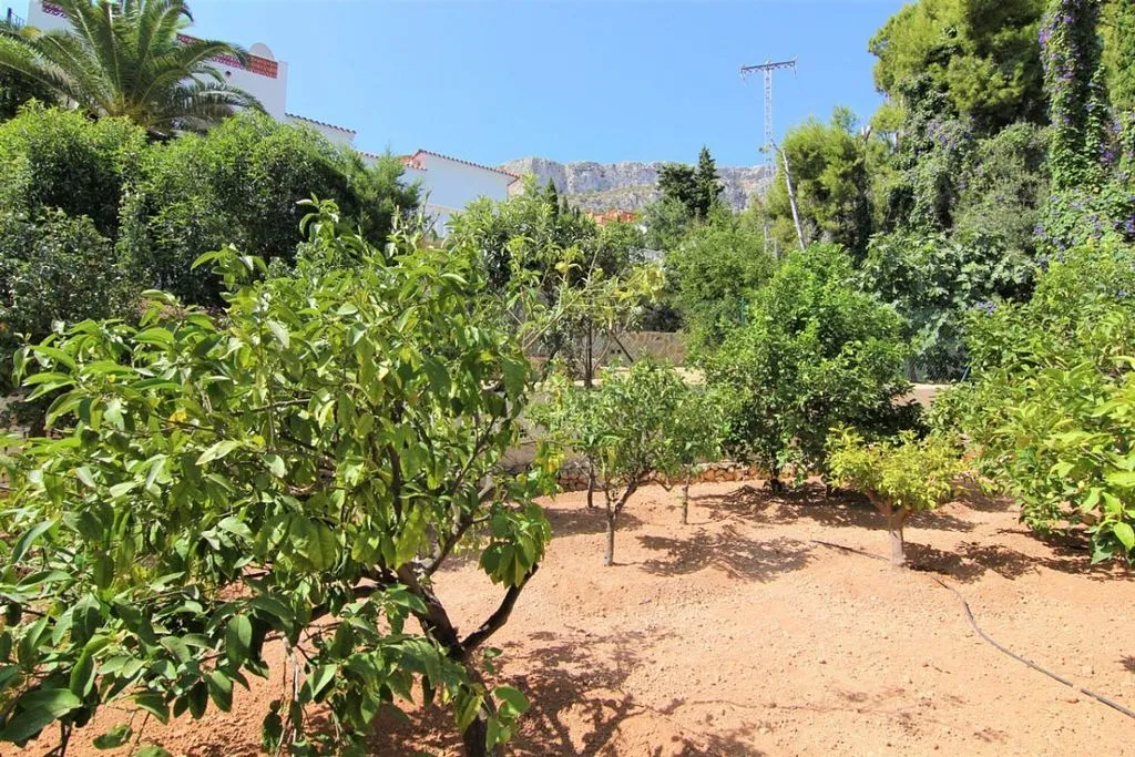 Jardin - Villa with Pool and Terrace in Calpe