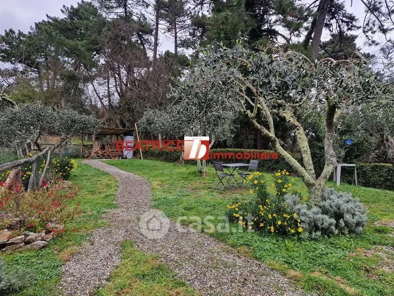 Jardin - Rustic Casale with Pool near Camaiore