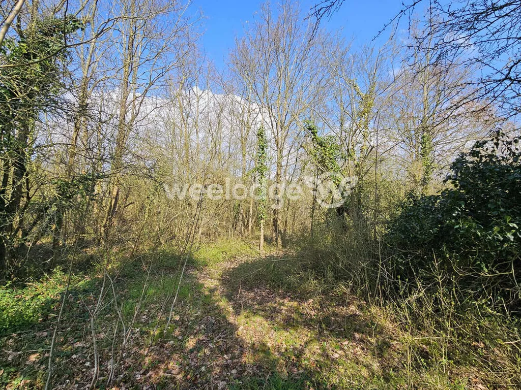 Aed - Buildable Plot with Railway Access in Neuville-Sur-Oise